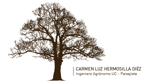 carmen-luz-hermosila